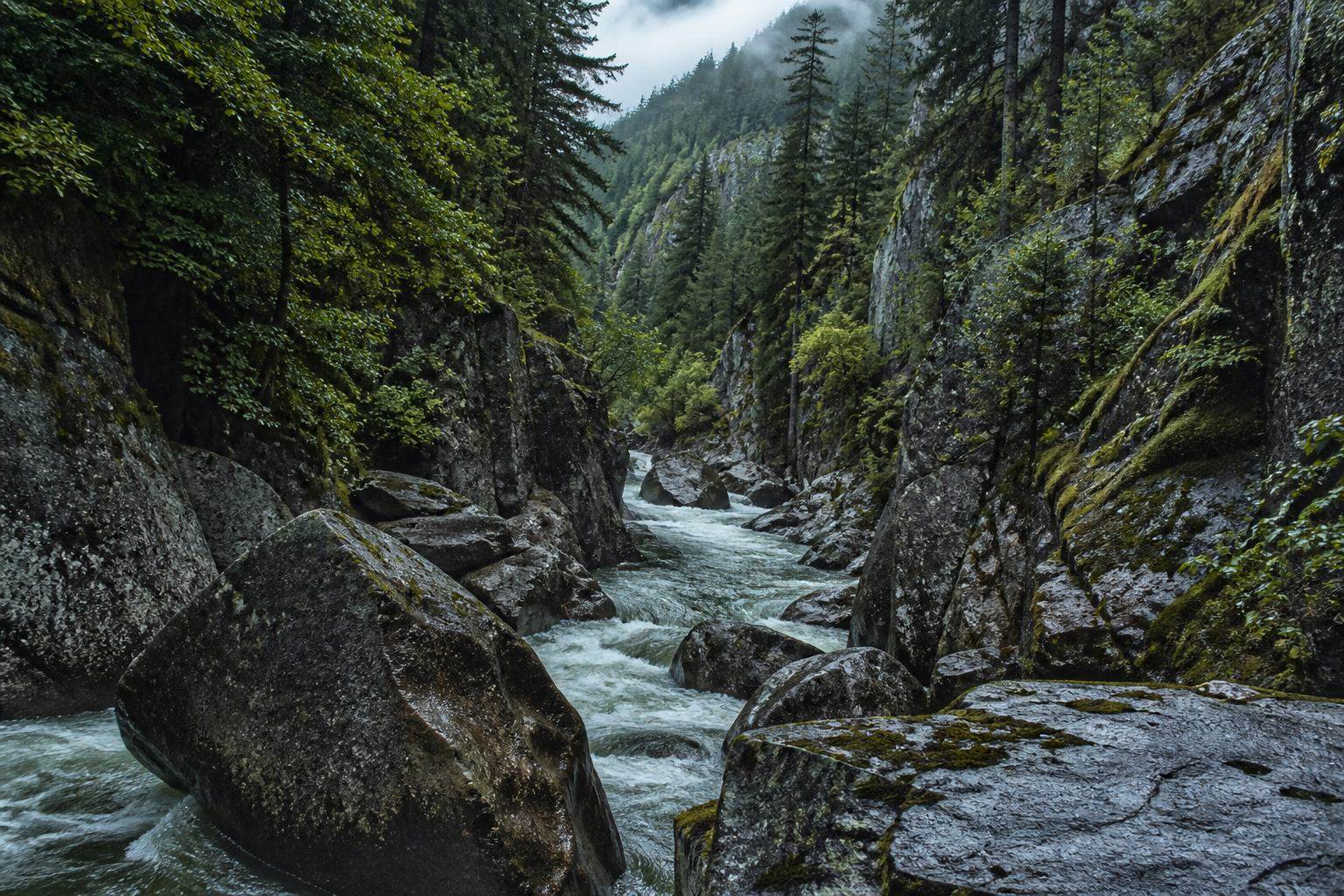 Granittal der Bode mit Fluss und bewaldeten Hängen